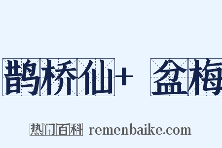 鹊桥仙+盆梅是什么意思的图片